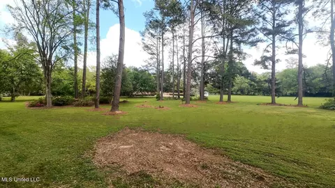 9 Adam Cir, Natchez, MS 39120 photo 5