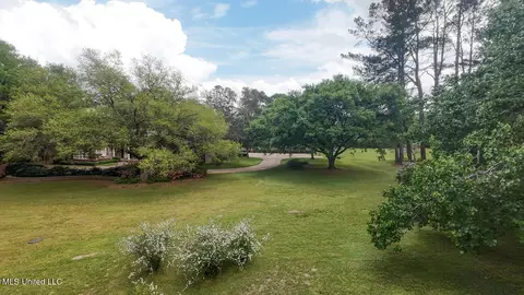 9 Adam Cir, Natchez, MS 39120 photo 52