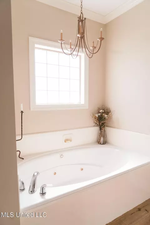 Bath - 1192 Windrose Cir, Madison, MS 39110 photo 7 of 8