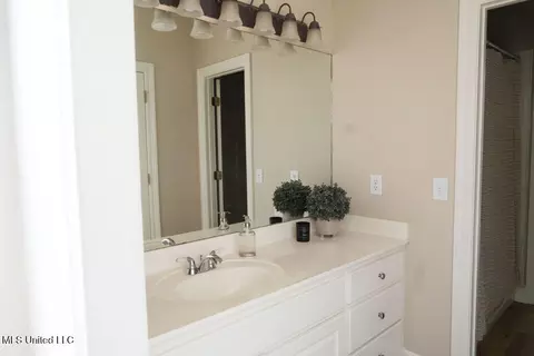 Bath - 1192 Windrose Cir, Madison, MS 39110 photo 3 of 8
