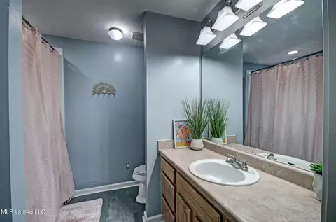 Bath - 608 Shadowridge Dr, Brandon, MS 39047 photo 2 of 4