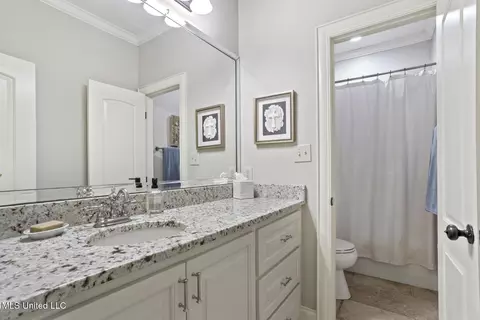 Bath - 543 Turtle Ln, Brandon, MS 39047 photo 6 of 6