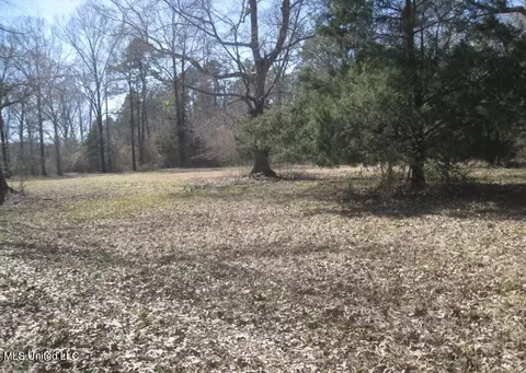 Tara Way, Brandon, MS 39042 photo 3