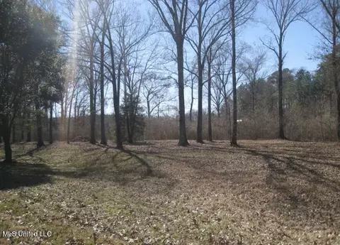 Tara Way, Brandon, MS 39042 photo 2