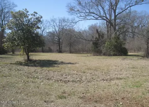 Tara Way, Brandon, MS 39042 photo 6
