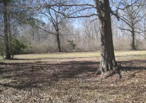 Tara Way, Brandon, MS 39042 photo 5