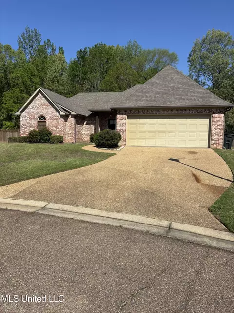 510 Pinebark Cove Cv, Brandon, MS 39047 photo 3