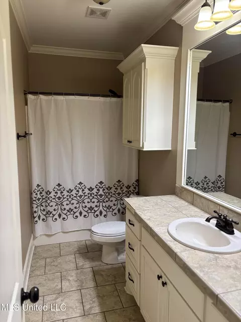 510 Pinebark Cove Cv, Brandon, MS 39047 photo 21