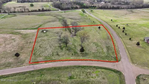 0 Lovorn Ct, Flora, MS 39071