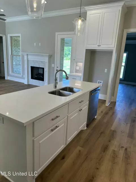 Kitchen - 485 Aurora Cir, Canton, MS 39046 photo 4 of 4