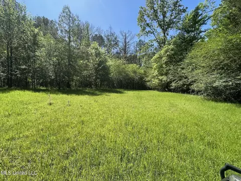 00 Us Highway 51, Pickens, MS 39146