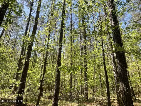 00 Us Highway 51, Pickens, MS 39146 photo 2