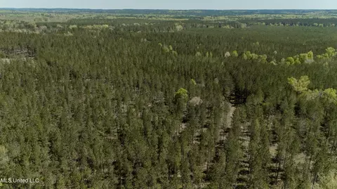 0000 Point Wanita Lake Rd, Meridian, MS 39301