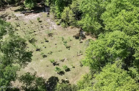 13217 Ware Lake Rd, Vancleave, MS 39565