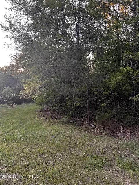 1923 Attala Rd, Goodman, MS 39079 photo 4