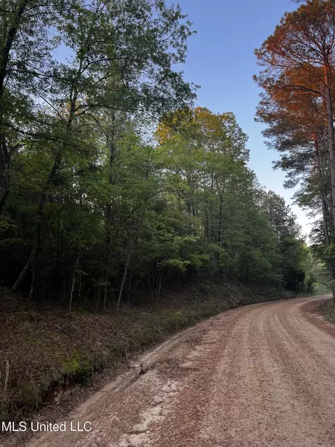 1923 Attala Rd, Goodman, MS 39079 photo 8
