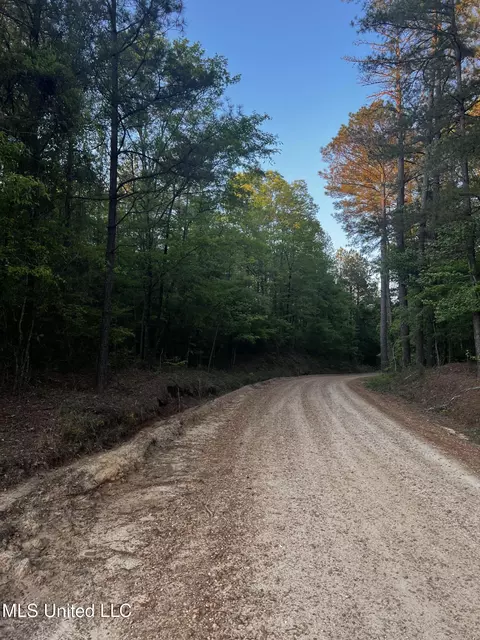 1923 Attala Rd, Goodman, MS 39079 photo 3