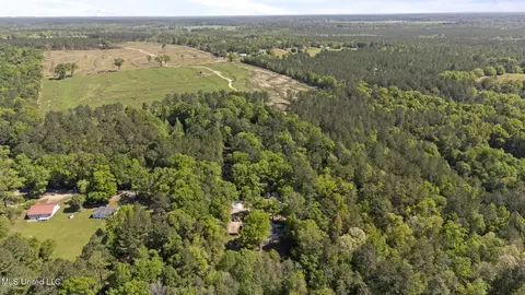 View/Area - 370 Mcgregor Rd, Wiggins, MS 39577 photo 2 of 2