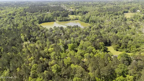 View/Area - 370 Mcgregor Rd, Wiggins, MS 39577 photo 1 of 2