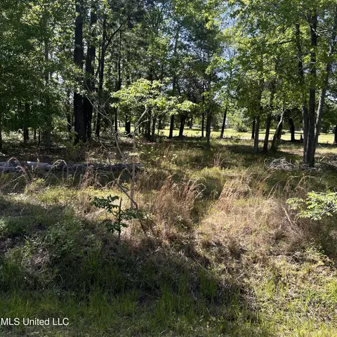 lot10 Poinsetta Loop, Pass Christian, MS 39571