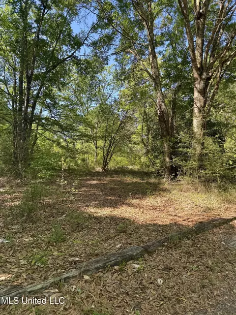 18161 Hudson Ln, Saucier, MS 39574