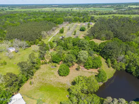 16 B Baxter Rd, Wiggins, MS 39577 photo 26