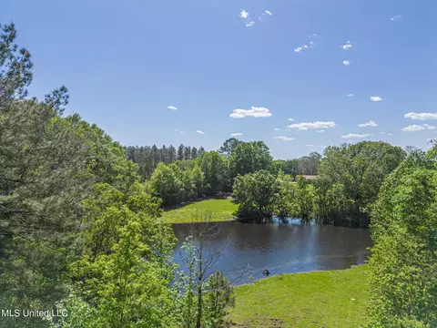 16 B Baxter Rd, Wiggins, MS 39577 photo 31