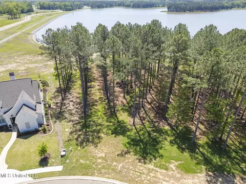 Bishop Pointe, Madison, MS 39110 photo 2