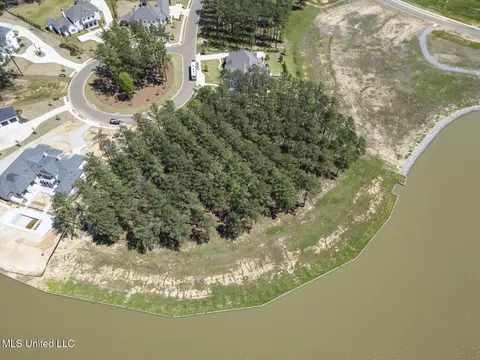 Bishop Pointe, Madison, MS 39110 photo 6