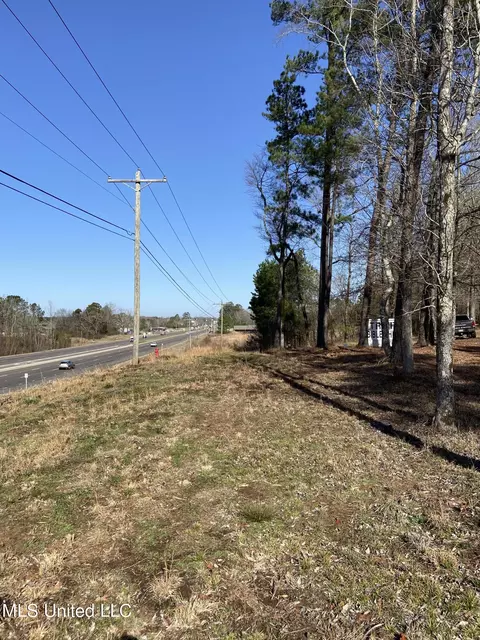 Florence Drive, Florence, MS 39073 photo 11