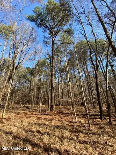 Florence Drive, Florence, MS 39073 photo 14