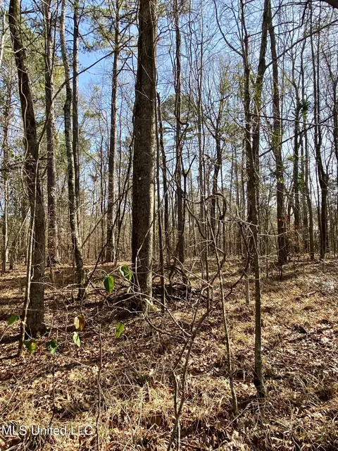 Florence Drive, Florence, MS 39073 photo 15