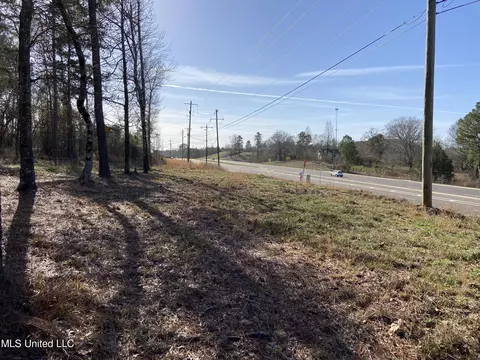 Florence Drive, Florence, MS 39073 photo 10