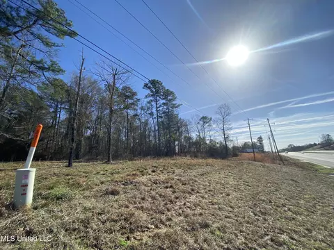 Florence Drive, Florence, MS 39073 photo 13