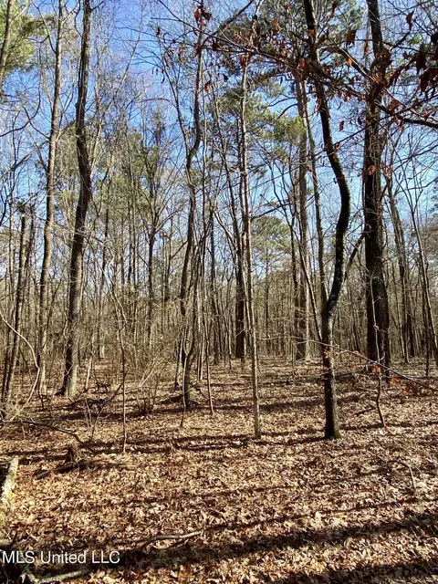 Florence Drive, Florence, MS 39073 photo 16