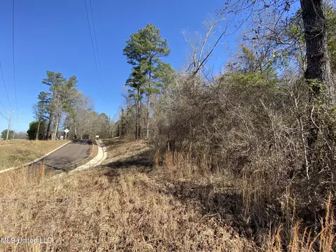 Florence Drive, Florence, MS 39073 photo 12