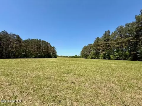 1262 Holmesville Rd, Jayess, MS 39641 photo 63