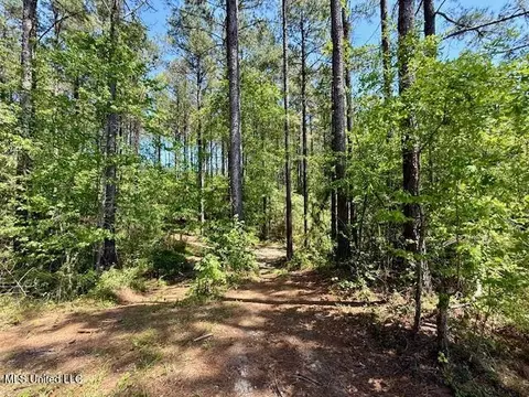 1262 Holmesville Rd, Jayess, MS 39641 photo 47