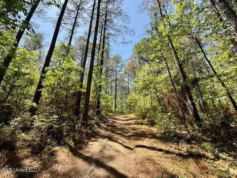 1262 Holmesville Rd, Jayess, MS 39641 photo 66