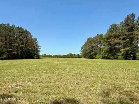 1262 Holmesville Rd, Jayess, MS 39641 photo 62
