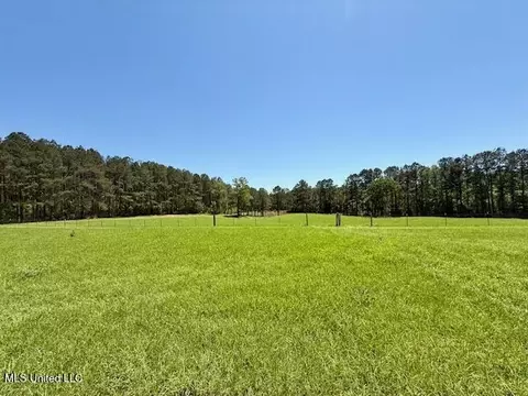1262 Holmesville Rd, Jayess, MS 39641 photo 68