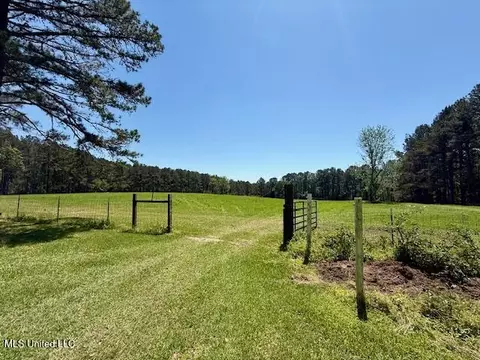 1262 Holmesville Rd, Jayess, MS 39641 photo 10