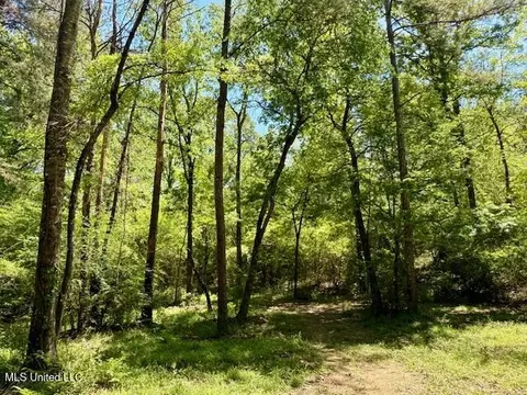 1262 Holmesville Rd, Jayess, MS 39641 photo 51