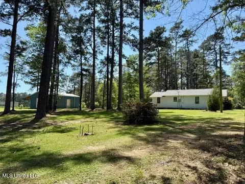 1262 Holmesville Rd, Jayess, MS 39641 photo 6