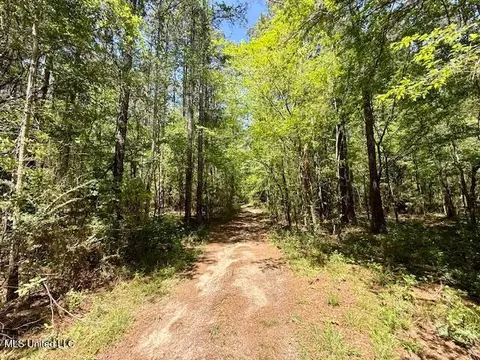 1262 Holmesville Rd, Jayess, MS 39641 photo 50