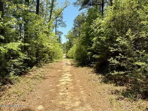 1262 Holmesville Rd, Jayess, MS 39641 photo 55
