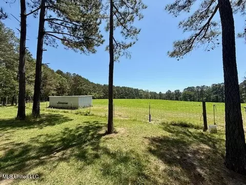 1262 Holmesville Rd, Jayess, MS 39641 photo 27