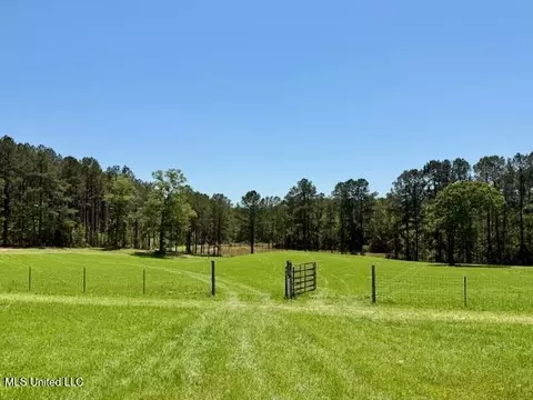 1262 Holmesville Rd, Jayess, MS 39641 photo 31