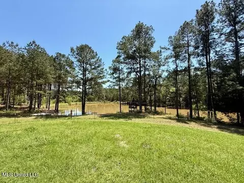 1262 Holmesville Rd, Jayess, MS 39641 photo 36