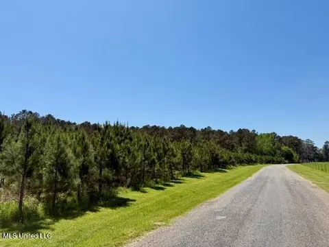 1262 Holmesville Rd, Jayess, MS 39641 photo 70